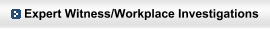Expert Witness/Workplace Investigations