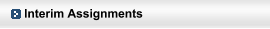 Interim Assignments